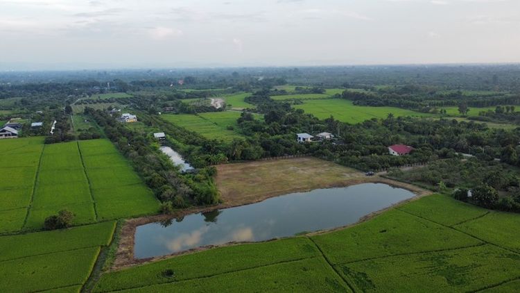 ที่ดินเชียงใหม่โซนหางดงไร่ละไม่ถึงล้าน ที่ดินวิวภูเขา วิวทุ่งนา 20 กม. , ภาพที่ 4