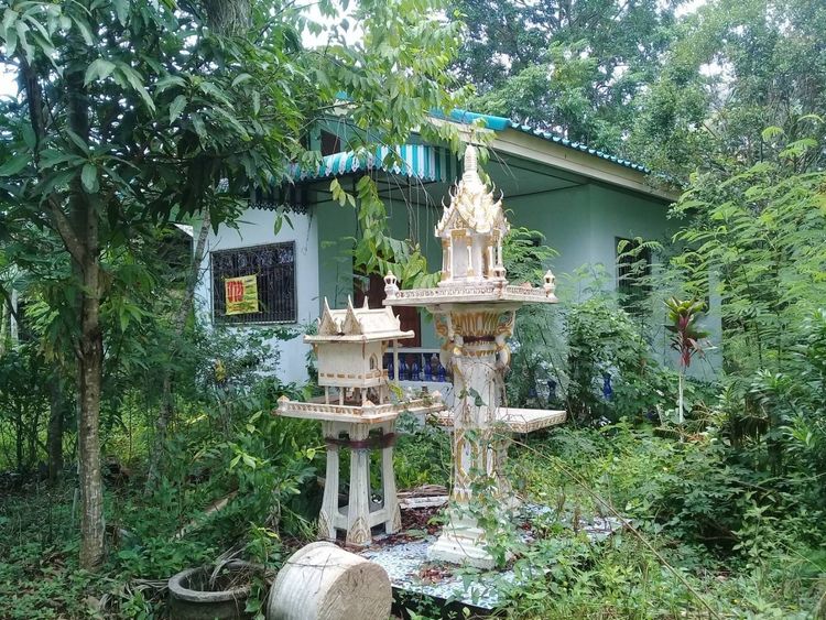 ขายบ้านชั้นเดียวพร้อมที่ดิน อ.ปากพนัง จ.นครศรีธรรมราช พร้อมเข้าอยู่ , ภาพที่ 4