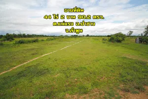 ขายที่ดินลำพูน ขายที่ดินป่าซาง ที่ดินผืนใหญ่ 44 ไร่ 2 งาน 90.2 ตรว.