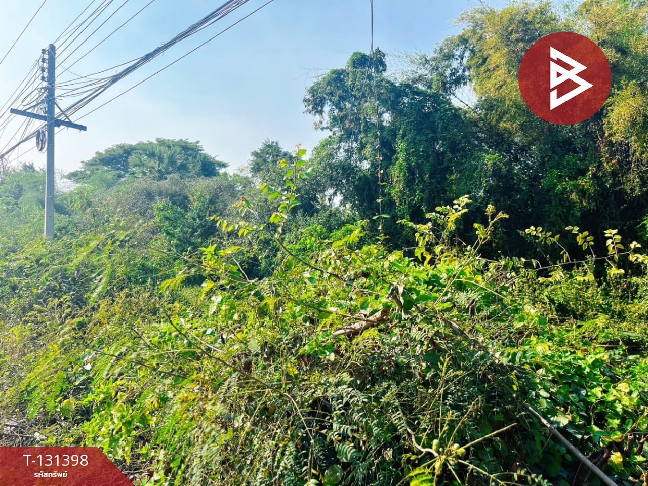 ขายที่ดิน เนื้อที่ 3 ไร่ 89 ตร.วา บางกุ้ง สุพรรณบุรี ทำเลดี