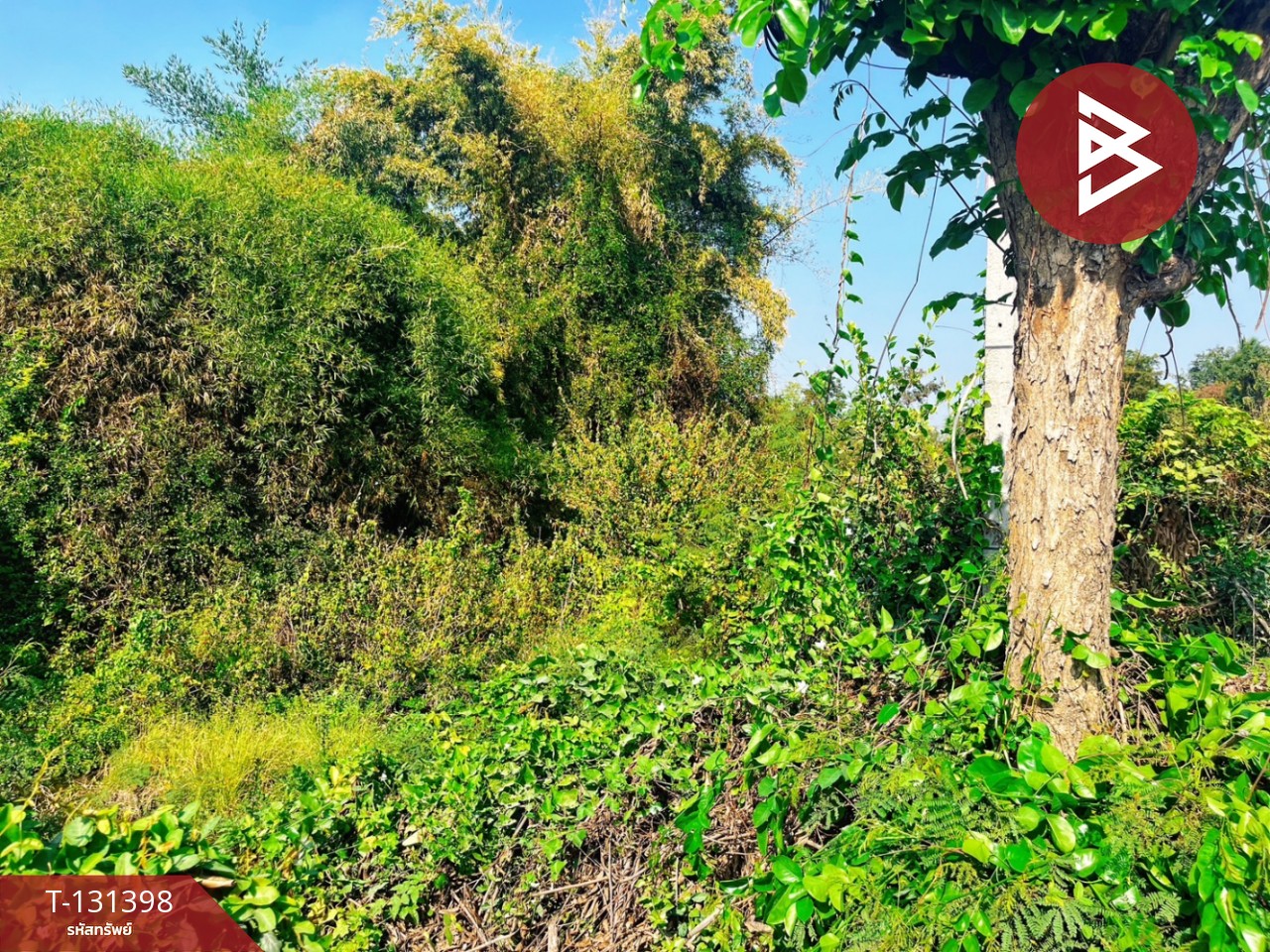 ขายที่ดิน เนื้อที่ 3 ไร่ 89 ตร.วา บางกุ้ง สุพรรณบุรี ทำเลดี