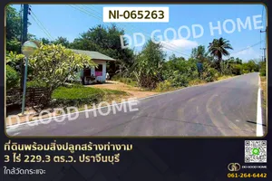 ที่ดินพร้อมสิ่งปลูกสร้างท่างาม 3 ไร่ 229.3 ตร.ว. ปราจีนบุรี ใกล้วัดกระแจะ NI-065263