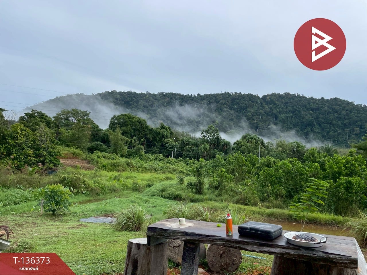 ขายที่ดิน เนื้อที่ 7 ไร่ 3 งาน 63.8 ตร.วา ตะกั่วป่า พังงา
