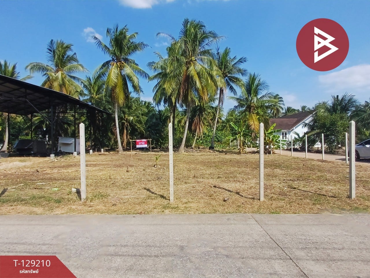 ขายที่ดิน เนื้อที่ 1 งาน 62.4 ตร.วา บางคนที สมุทรสงคราม