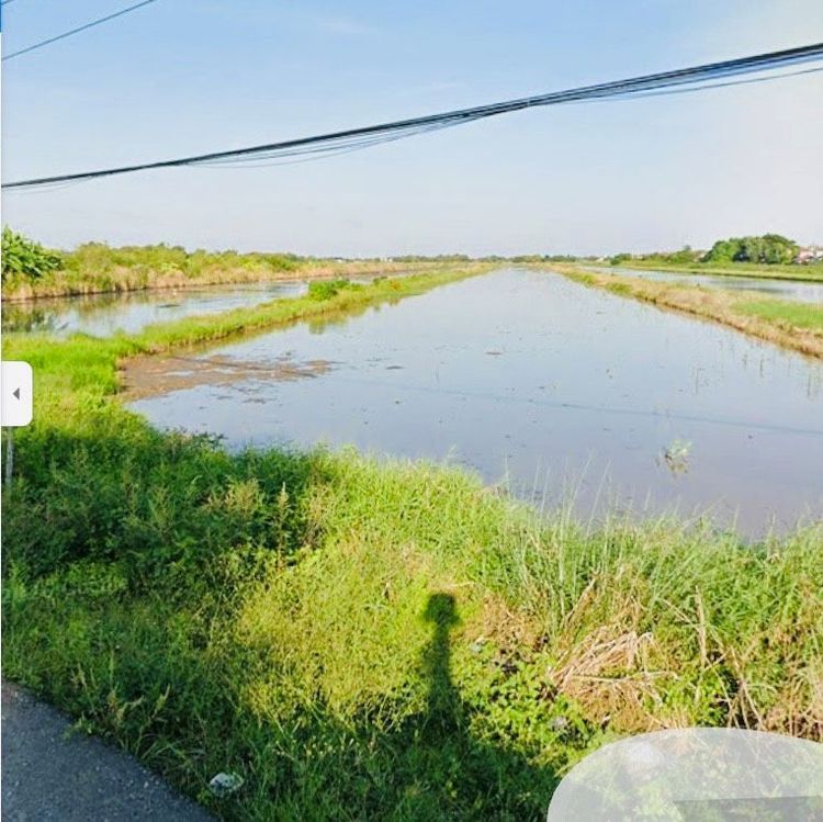 ขายที่ดินลำลูกกาคลอง 7  ขนาด 40 ไร่ ติดถนน ผังที่ดินสีเหลือง พร้อมโฉนด, ภาพที่ 4