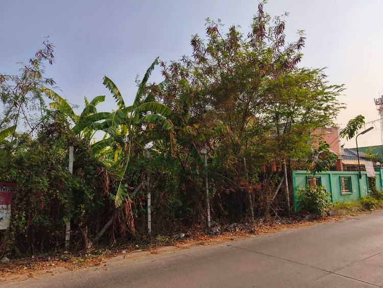 ขาย ที่ดิน ตำบลคูคต อำเภอลำลูกกา จังหวัดปทุมธานี, ภาพที่ 4