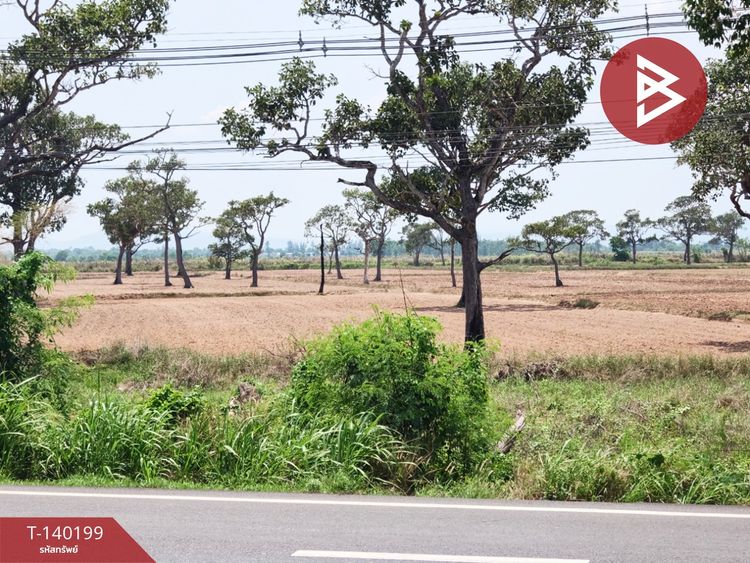 ขายที่ดิน เนื้อที่ 23 ไร่ 1 งาน 83 ตร.วา นาดี ปราจีนบุรี, ภาพที่ 4