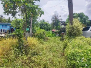 ขายที่ดินเปล่า ทำเลดี เขตหนองจอก กรุงเทพมหานคร