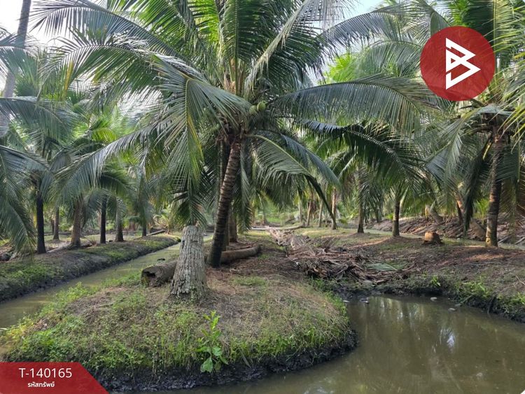 ขายที่ดิน เนื้อที่ 4 ไร่ 32.2 บางคนที สมุทรสงคราม, ภาพที่ 4