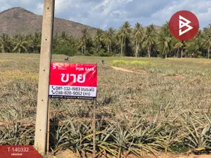 ขายที่ดินถมแล้ว เนื้อที่ 17 ไร่ 83.4 ตร.วา อ่าวน้อย ประจวบคีรีขันธ์