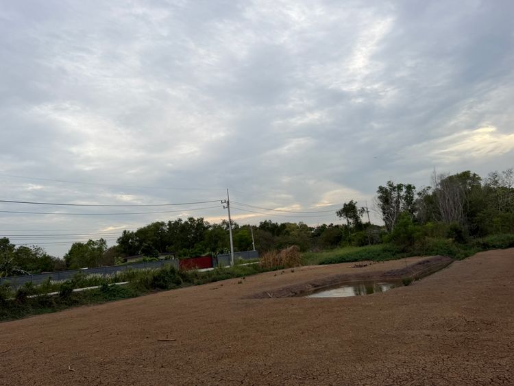 ขายที่ดิน 4 ไร่ คลองห้า ลำลูกกา ติดถนนในซอย2ซอย สร้างโรงงานได้, ภาพที่ 4