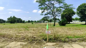 ขายที่ดินจัดสรร ติดถนนพหลโยธิน ใกล้ถ้ำหลวง-ขุนน้ำนางนอน แม่สาย เชียงราย