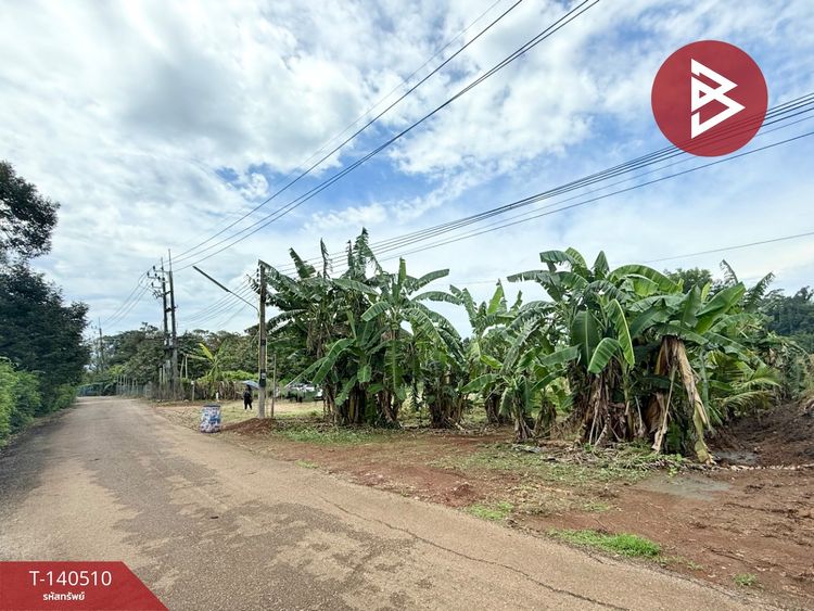 ขายที่ดิน เนื้อที่ 1 ไร่ 1 งาน 79 ตร.วา ท่าใหม่ จันทบุรี, ภาพที่ 4