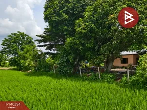 ขายที่ดิน เนื้อที่ 2 ไร่ 3 งาน ดอนเจดีย์ สุพรรณบุรี