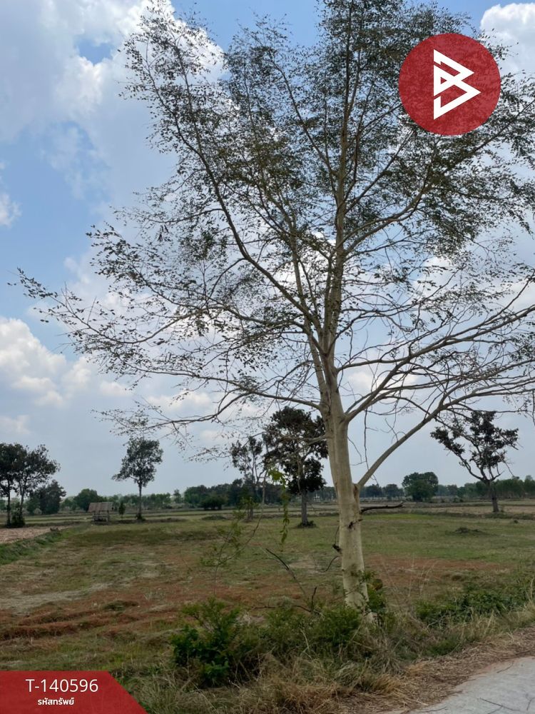 ขายที่ดิน เนื้อที่ 10 ไร่ 44.1 ตร.วา บ้านใหม่ไชยพจน์ บุรีรัมย์, ภาพที่ 4