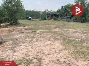 ขายที่ดิน เนื้อที่ 3 ไร่ บุ่ง อำนาจเจริญ