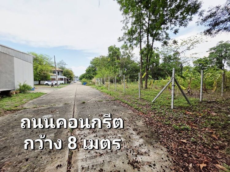 ขายที่ดิน 155 ตรว. ธัญบุรี รังสิต-คลอง3 ปทุมธานี ติดเลค, ภาพที่ 4