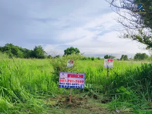 ขายด่วน❗️ที่ดิน 1 ไร่ ศรีราชาห่างจากทางด่วนมอเตอร์เวย์หมายเลข 7 เพียง 10 นาที