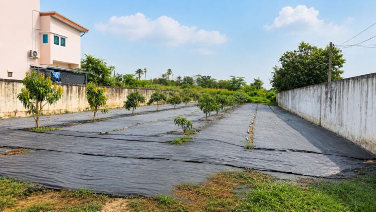ขายที่ดิน 2 แปลงติดกัน ขนาด 1 ไร่ ทวีวัฒนา ถนนเลียบคลองปทุม ทำเลดี, ภาพที่ 4