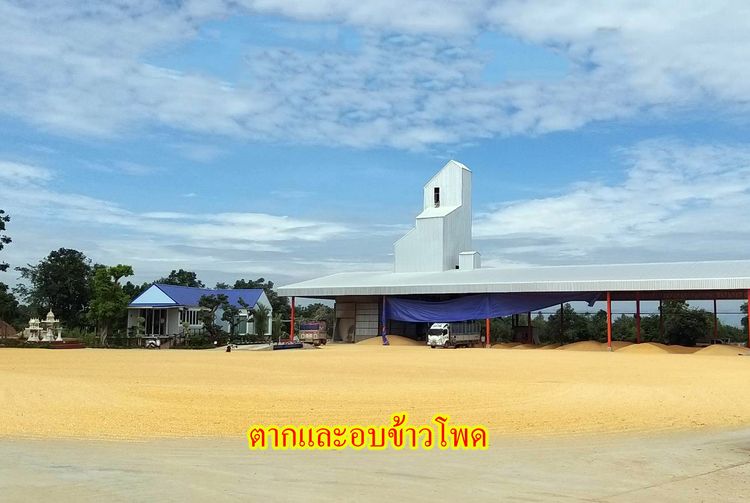 ขายโรงไม้สับและไซโลข้าวโพด พร้อมทำกิจการต่อได้ทันที อ.เมือง จ.ลำพูน , ภาพที่ 4