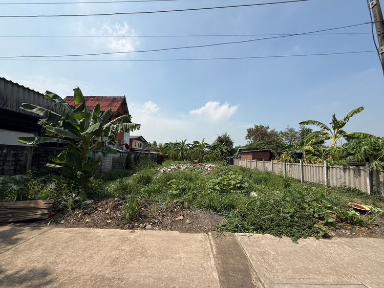ขาย ที่ดิน ตำบลประชาธิปัตย์ อำเภอธัญบุรี จังหวัดปทุมธานี, ภาพที่ 4