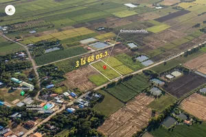 ถูกที่สุด! ขายยกแปลงที่ดินเพชรบูรณ์ 3 ไร่กว่า ติดถนนหลัก ใกล้เมือง แค่ไร่ละ 470,000.- โฉนดครุฑแดงพร้อมโอน