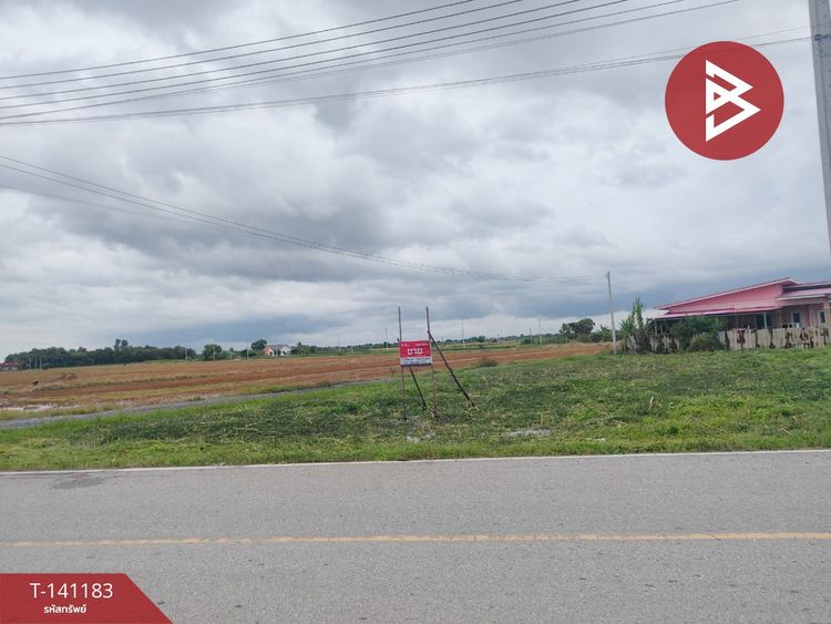 ขายที่ดิน เนื้อที่ 1 งาน 50 ตร.วา บางขวัญ ฉะเชิงเทรา, ภาพที่ 4