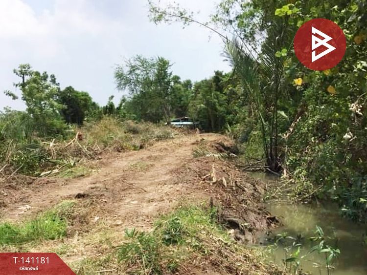 ขายที่ดิน เนื้อที่ 9 ไร่ 3 งาน 81 ตร.วา บ้านใหม่ ฉะเชิงเทรา, ภาพที่ 4
