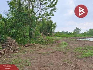 ขายที่ดิน เนื้อที่ 9 ไร่ 3 งาน 81 ตร.วา บ้านใหม่ ฉะเชิงเทรา