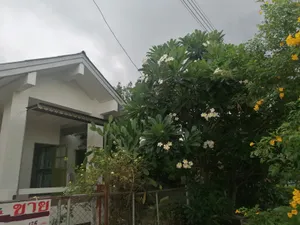 ขายบ้านเดี่ยว พร้อมอยู่ 3 ห้องนอน มีสวนพักผ่อน ติดถนนใหญ่ในเมืองสุพรรณบุรี