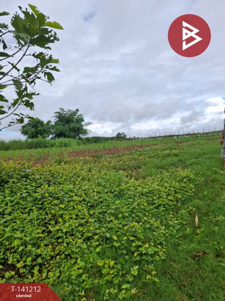 ขายที่ดิน เนื้อที่ 20 ไร่ 3 งาน 4 ตร.วา เทิง เชียงราย, ภาพที่ 4