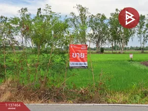 ขายที่ดิน เนื้อที่ 1 งาน 83 ตร.วา พุทธมณฑล นครปฐม