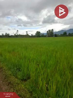 ขายที่ดิน เนื้อที่ 20 ไร่ 3 งาน 4 ตร.วา เทิง เชียงราย