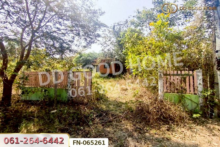 ที่ดินจอมบึง 3 ไร่ 25 ตร.ว. ราชบุรี ใกล้องค์การบริหารส่วนตำบลรางบัว, ภาพที่ 4