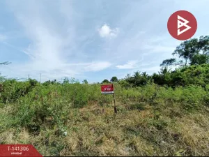 ขายที่ดิน เนื้อที่ 1 งาน 46.6 ตร.วา อัมพวา สมุทรสงคราม