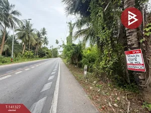 ขายที่ดิน เนื้อที่ 3 งาน 44.2 ตร.วา อัมพวาสมุทรสงคราม