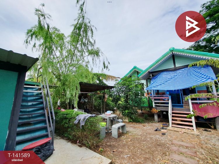 ขายที่ดิน เนื้อที่ 1 งาน พุทธมณฑล นครปฐม, ภาพที่ 4