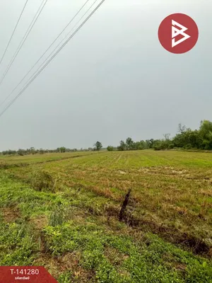 ขายที่ดิน 12 ไร่ 1 งาน 76.1 ตร.วา ขาณุวรลักษบุรี กำแพงเพชร