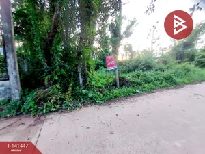 ขายที่ดิน เนื้อที่ 1 งาน 17 ตร.วา โพนพิสัย หนองคาย