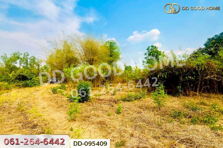 ที่ดินมะเขือแจ้ 3 ไร่ 390 ตร.ว. เมืองลำพูน ใกล้ศาลจังหวัดลำพูน, ภาพที่ 4