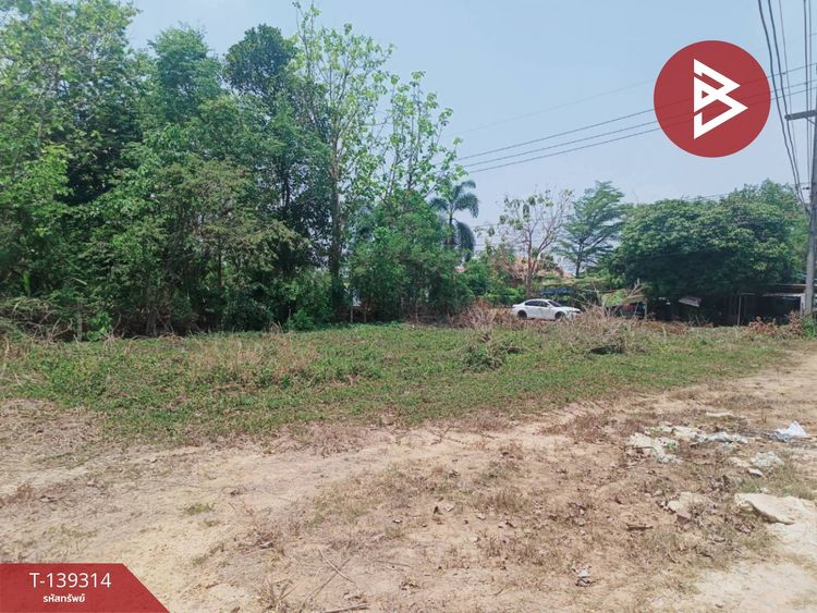 ขายที่ดิน เนื้อที่ 2 งาน 70 ตร.วา พนมสารคาม ฉะเชิงเทรา, ภาพที่ 4