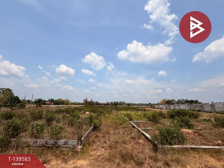 ขายที่ดิน เนื้อที่ 24 ไร่ 3 งาน 60.7 ตร.วา ศรีมหาโพธิ ปราจีนบุรี, ภาพที่ 4