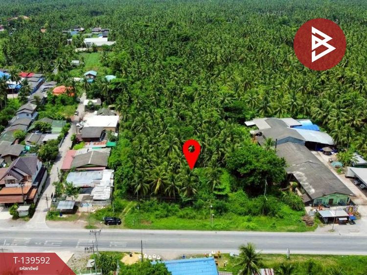 ขายที่ดินพร้อมสวน เนื้อที่ 13 ไร่ 2 งาน 51.6 ตร.วา อัมพวา สมุทรสงคราม, ภาพที่ 4