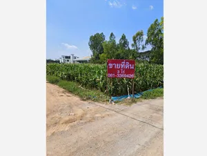 Call : 080-743-1573 ขายที่ดินแปลงสวย ท่าม่วง กาญจนบุรี เหมาะลงทุน ใกล้ถนนใหญ่ เข้า-ออกได้หลายทาง เดินทางสะดวก เพียง 1 ชั่วโมงกว่าจากกรุงเทพฯ