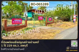 ที่ดินพร้อมสิ่งปลูกสร้างบ้านหมี่ 1 ไร่ 229 ตร.ว. ลพบุรี ใกล้ที่ว่าการอำเภอบ้านหมี่ BO-065289