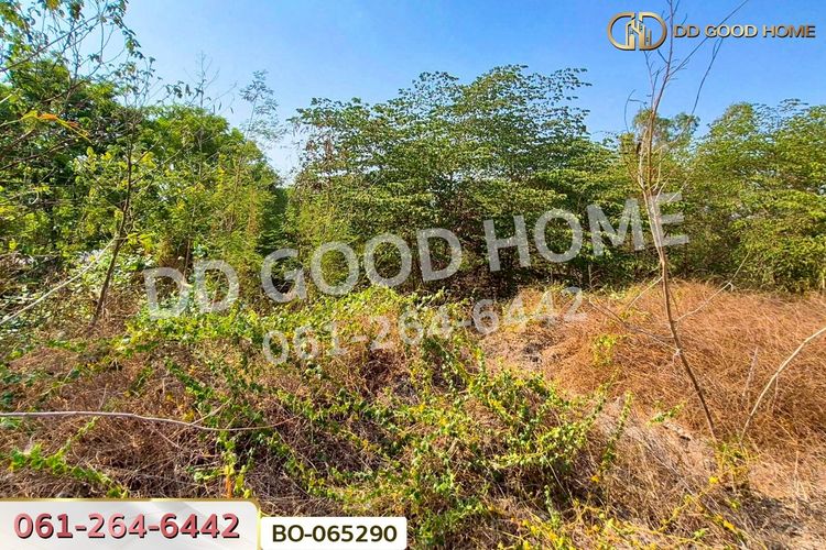 ที่ดินบ้านหมี่ 1 ไร่ 386.6 ตร.ว. ลพบุรี ใกล้ที่ว่าการอำเภอบ้านหมี่, ภาพที่ 4