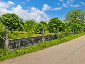 ขายที่ดินในตำบลโคกปีบ ทางเข้าวัดม่วงขาว  อำเภอศรีมโหสถ จังหวัดปราจีนบุรี เนื้อที่ 200 