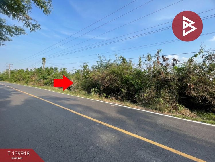 ขายที่ดิน เนื้อที่ 26 ไร่ 1 งาน 18 ตร.วา บ้านไผ่ ขอนแก่น, ภาพที่ 4