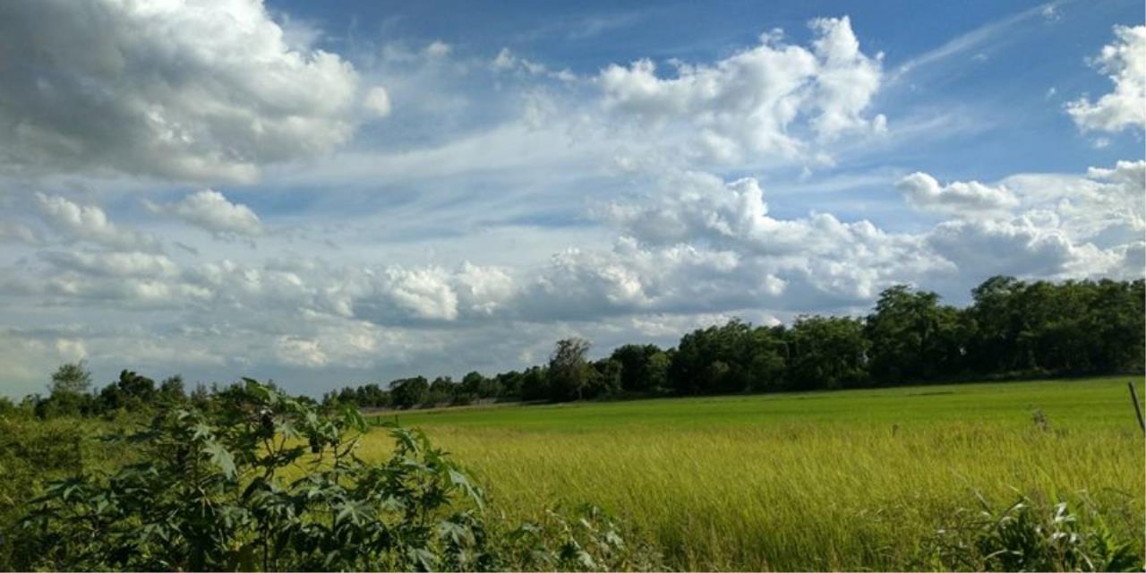 ขาย ที่ดิน ตำบลบึงน้ำรักษ์ อำเภอธัญบุรี จังหวัดปทุมธานี, ภาพที่ 4