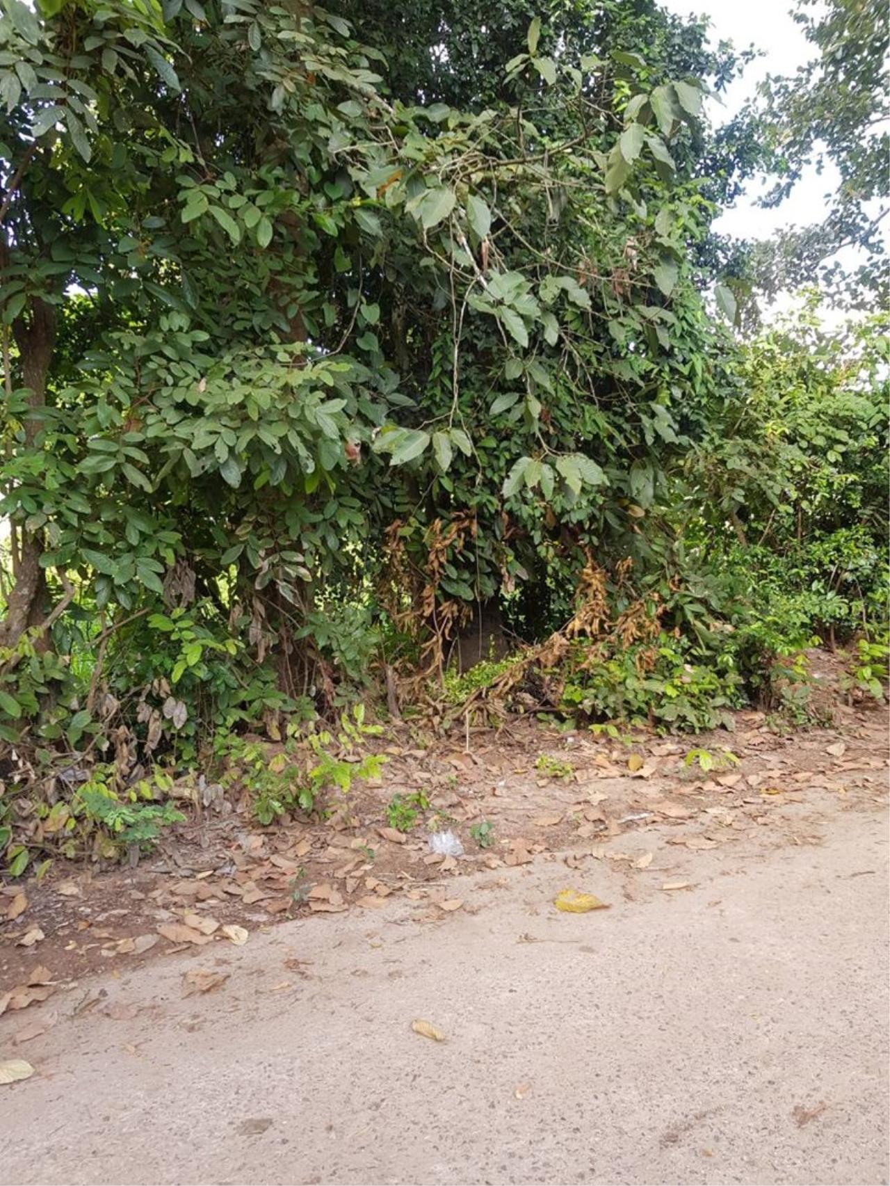 ขาย ที่ดิน ตำบลกุดจับ อำเภอกุดจับ จังหวัดอุดรธานี, ภาพที่ 4